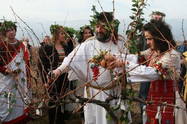 Праздник виноградарей "Золотой Балки"
